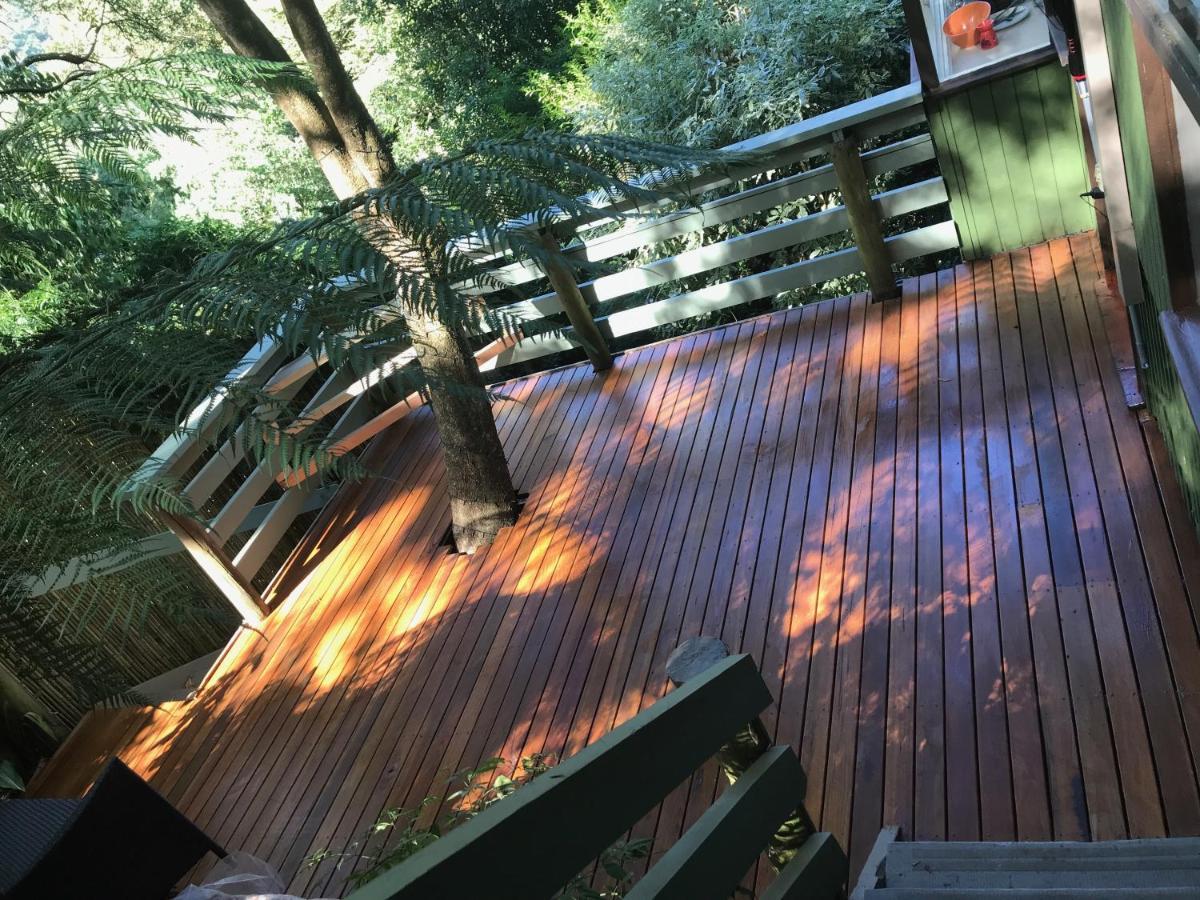 Sassafras Treehouse Private Home In The Dandenong Ranges, Victoria Exterior foto