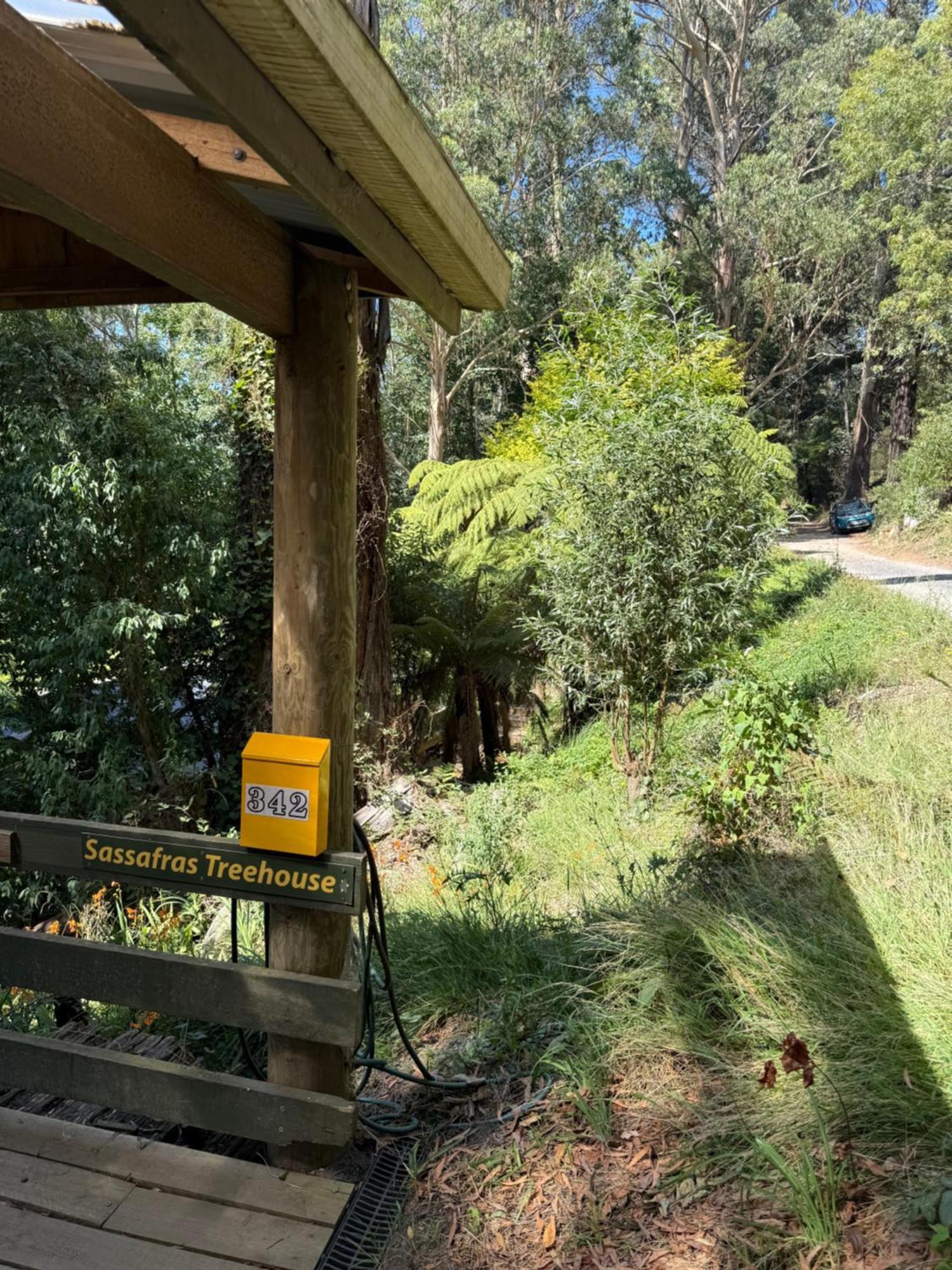 Sassafras Treehouse Private Home In The Dandenong Ranges, Victoria Exterior foto